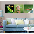 3 Panel Wall Art Oil Painting Dragonfly Painting Home Decoration Canvas Prints Pictures for Living Room Mc-260